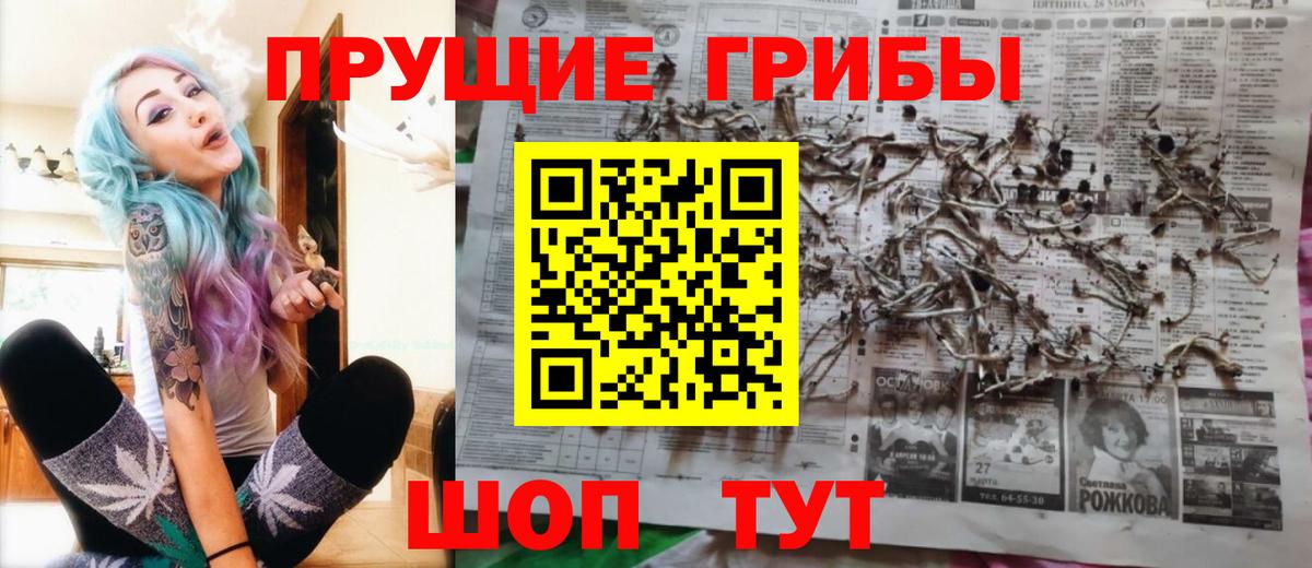 Тихорецк  Псилоцибиновые грибы мицелий  Галлюциногенные грибы Psilocybe  Вход с VPN 